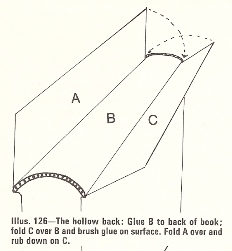 Hollow back